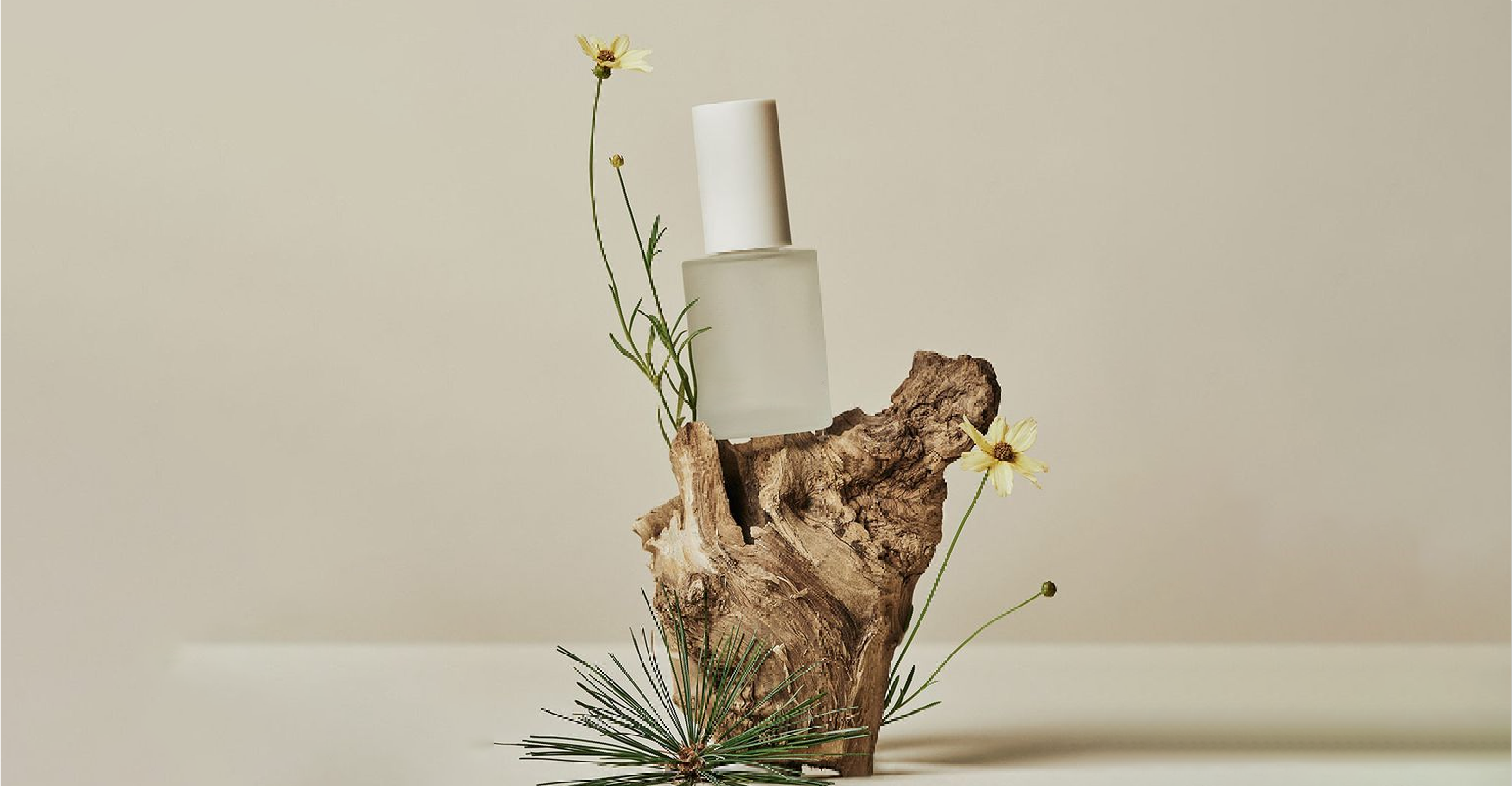 畫(huà)板 13_1@3x.png