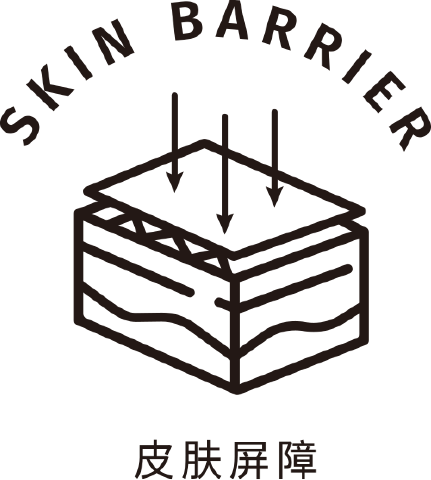 畫(huà)板 13@3x.png